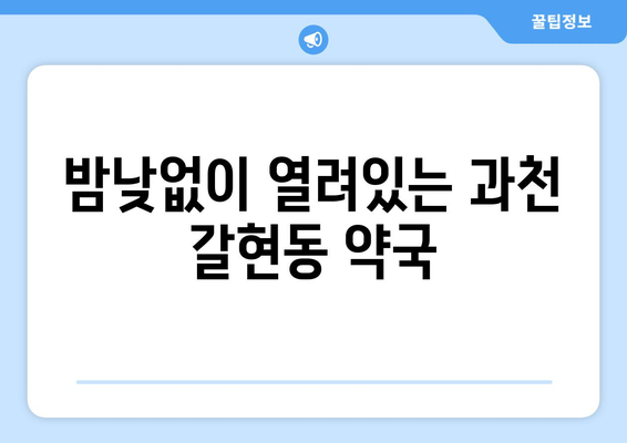 경기도 과천시 갈현동 24시간 토요일 일요일 휴일 공휴일 야간 약국