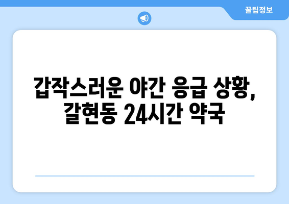 경기도 과천시 갈현동 24시간 토요일 일요일 휴일 공휴일 야간 약국