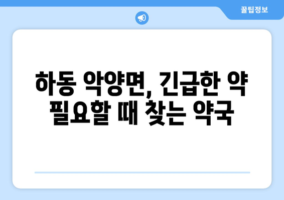 경상남도 하동군 악양면 24시간 토요일 일요일 휴일 공휴일 야간 약국