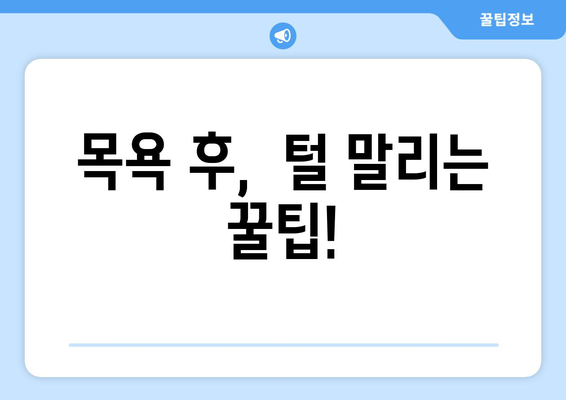 새끼 강아지 목욕, 이렇게 하면 성공! 🛁🐶 | 애견 목욕 비법, 새끼 강아지 샤워 주의사항, 강아지 목욕 팁