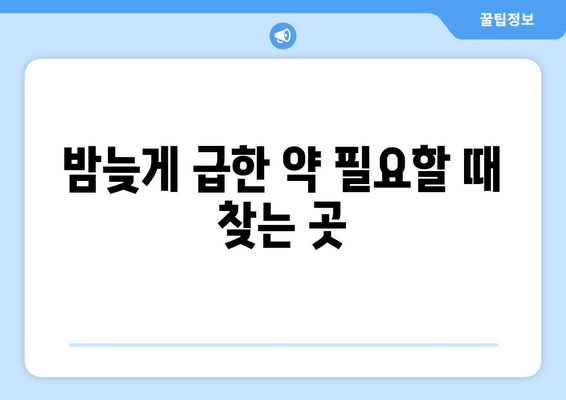 대전시 유성구 대정동 24시간 토요일 일요일 휴일 공휴일 야간 약국