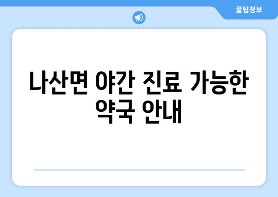 전라남도 함평군 나산면 24시간 토요일 일요일 휴일 공휴일 야간 약국