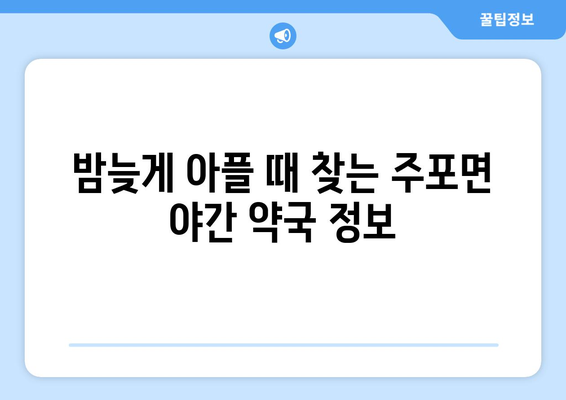 충청남도 보령시 주포면 24시간 토요일 일요일 휴일 공휴일 야간 약국