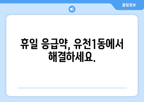 대전시 중구 유천1동 24시간 토요일 일요일 휴일 공휴일 야간 약국