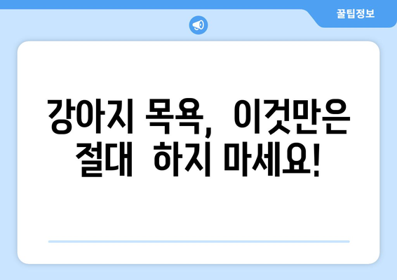 새끼 강아지 목욕, 이렇게 하면 성공! 🛁🐶 | 애견 목욕 비법, 새끼 강아지 샤워 주의사항, 강아지 목욕 팁