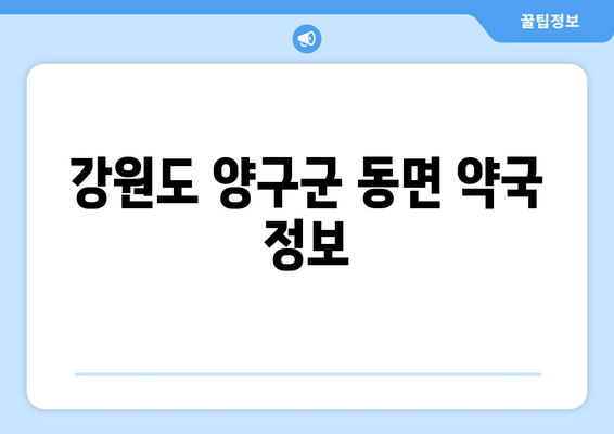 강원도 양구군 동면 24시간 토요일 일요일 휴일 공휴일 야간 약국