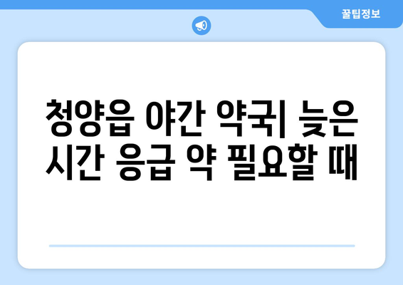 충청남도 청양군 청양읍 24시간 토요일 일요일 휴일 공휴일 야간 약국