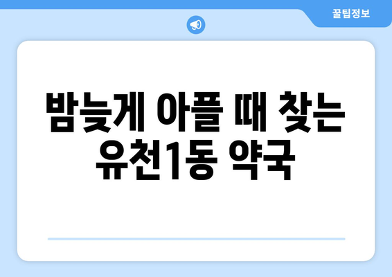 대전시 중구 유천1동 24시간 토요일 일요일 휴일 공휴일 야간 약국