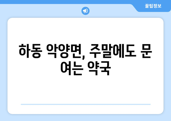 경상남도 하동군 악양면 24시간 토요일 일요일 휴일 공휴일 야간 약국