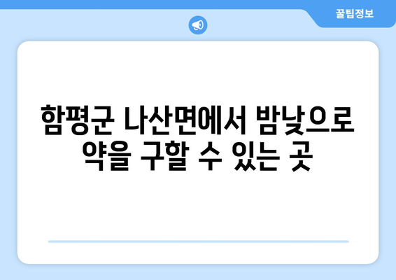 전라남도 함평군 나산면 24시간 토요일 일요일 휴일 공휴일 야간 약국