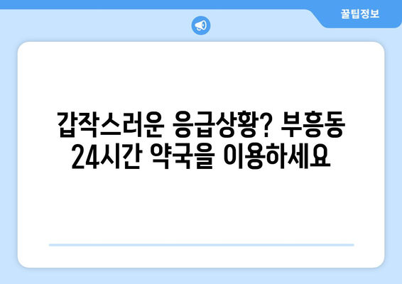 전라남도 목포시 부흥동 24시간 토요일 일요일 휴일 공휴일 야간 약국