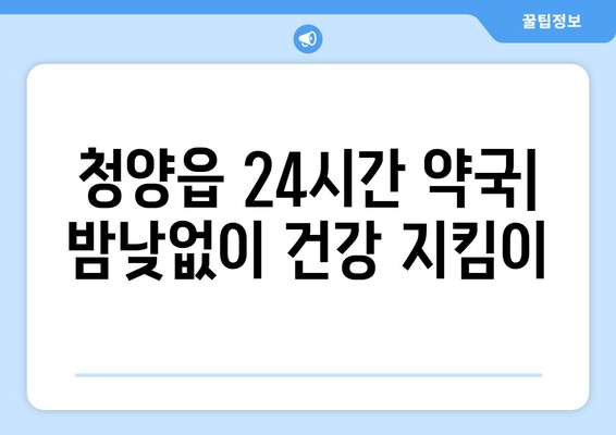 충청남도 청양군 청양읍 24시간 토요일 일요일 휴일 공휴일 야간 약국