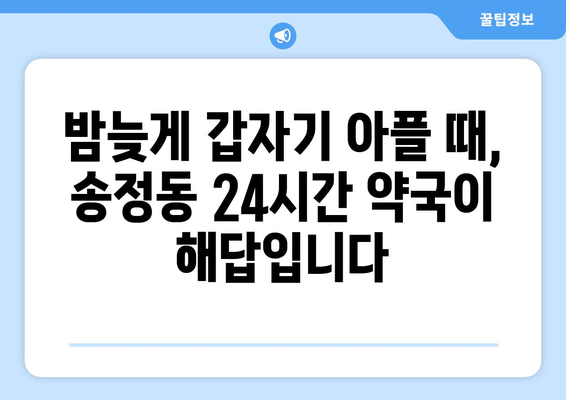 서울시 성동구 송정동 24시간 토요일 일요일 휴일 공휴일 야간 약국