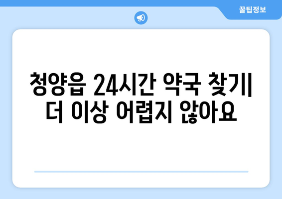 충청남도 청양군 청양읍 24시간 토요일 일요일 휴일 공휴일 야간 약국