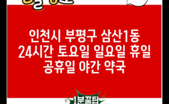 인천시 부평구 삼산1동 24시간 토요일 일요일 휴일 공휴일 야간 약국