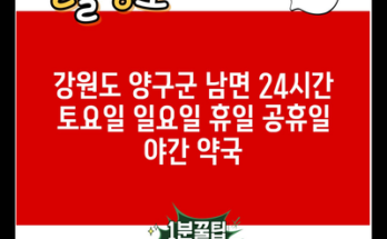 강원도 양구군 남면 24시간 토요일 일요일 휴일 공휴일 야간 약국