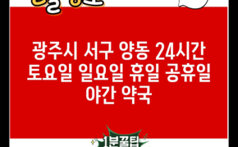 광주시 서구 양동 24시간 토요일 일요일 휴일 공휴일 야간 약국