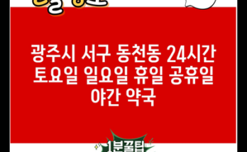 광주시 서구 동천동 24시간 토요일 일요일 휴일 공휴일 야간 약국