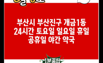 부산시 부산진구 개금1동 24시간 토요일 일요일 휴일 공휴일 야간 약국