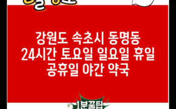 강원도 속초시 동명동 24시간 토요일 일요일 휴일 공휴일 야간 약국