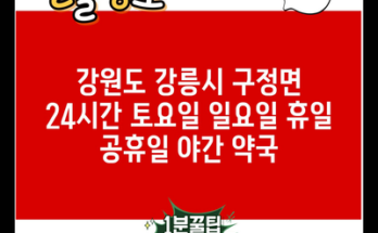 강원도 강릉시 구정면 24시간 토요일 일요일 휴일 공휴일 야간 약국