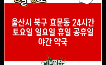 울산시 북구 효문동 24시간 토요일 일요일 휴일 공휴일 야간 약국