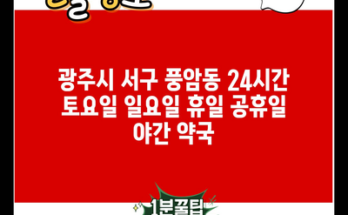 광주시 서구 풍암동 24시간 토요일 일요일 휴일 공휴일 야간 약국