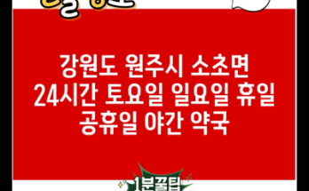 강원도 원주시 소초면 24시간 토요일 일요일 휴일 공휴일 야간 약국