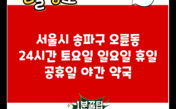 서울시 송파구 오륜동 24시간 토요일 일요일 휴일 공휴일 야간 약국