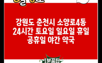 강원도 춘천시 소양로4동 24시간 토요일 일요일 휴일 공휴일 야간 약국