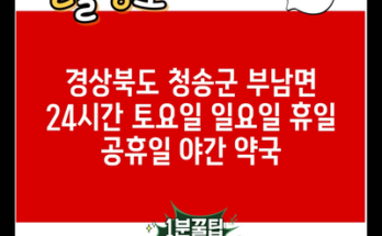 경상북도 청송군 부남면 24시간 토요일 일요일 휴일 공휴일 야간 약국