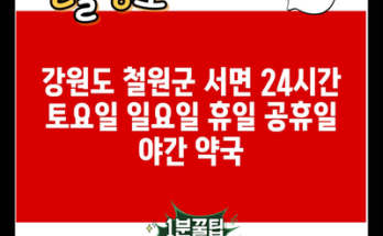 강원도 철원군 서면 24시간 토요일 일요일 휴일 공휴일 야간 약국