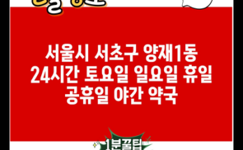 서울시 서초구 양재1동 24시간 토요일 일요일 휴일 공휴일 야간 약국