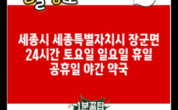 세종시 세종특별자치시 장군면 24시간 토요일 일요일 휴일 공휴일 야간 약국