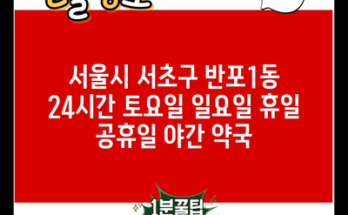 서울시 서초구 반포1동 24시간 토요일 일요일 휴일 공휴일 야간 약국