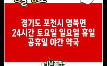 경기도 포천시 영북면 24시간 토요일 일요일 휴일 공휴일 야간 약국