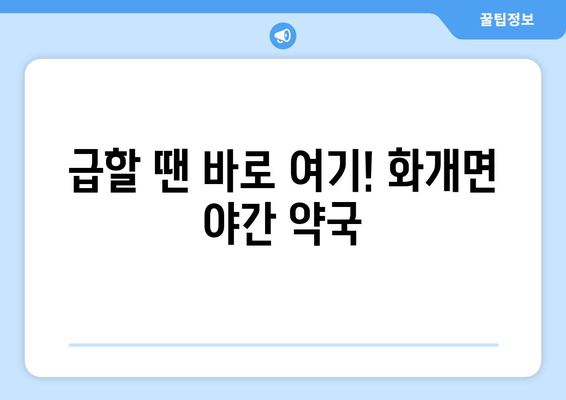 경상남도 하동군 화개면 24시간 토요일 일요일 휴일 공휴일 야간 약국