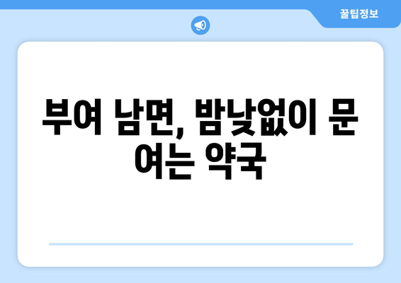 충청남도 부여군 남면 24시간 토요일 일요일 휴일 공휴일 야간 약국