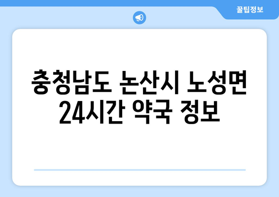 충청남도 논산시 노성면 24시간 토요일 일요일 휴일 공휴일 야간 약국