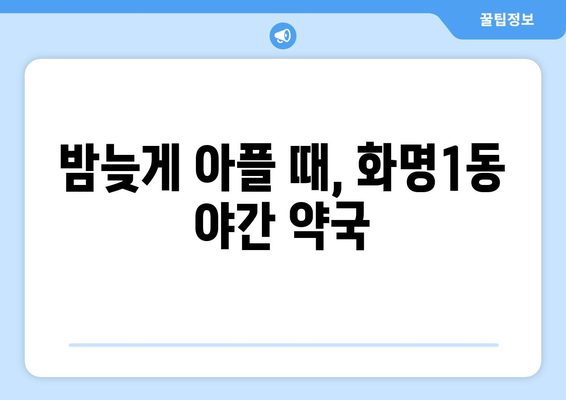 부산시 북구 화명1동 24시간 토요일 일요일 휴일 공휴일 야간 약국