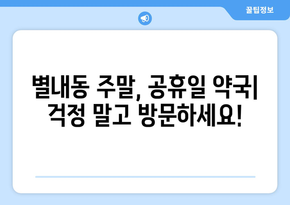 경기도 남양주시 별내동 24시간 토요일 일요일 휴일 공휴일 야간 약국