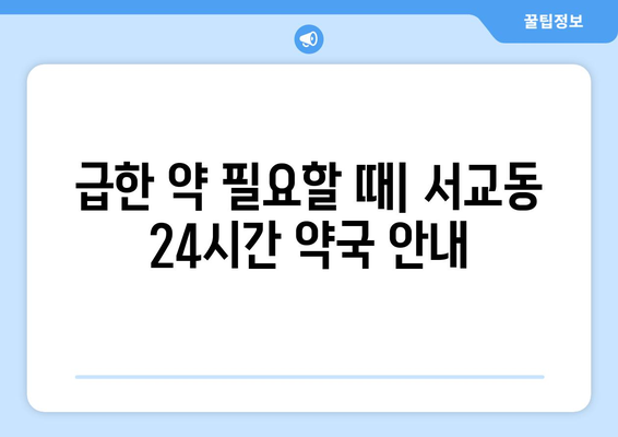 서울시 마포구 서교동 24시간 토요일 일요일 휴일 공휴일 야간 약국