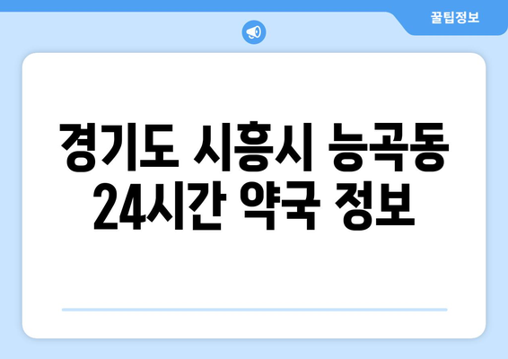 경기도 시흥시 능곡동 24시간 토요일 일요일 휴일 공휴일 야간 약국