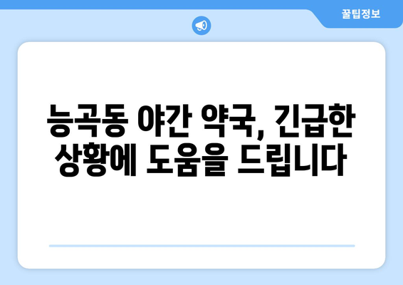 경기도 시흥시 능곡동 24시간 토요일 일요일 휴일 공휴일 야간 약국