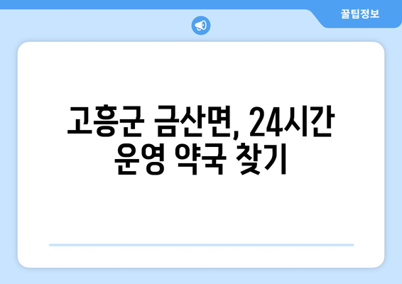 전라남도 고흥군 금산면 24시간 토요일 일요일 휴일 공휴일 야간 약국