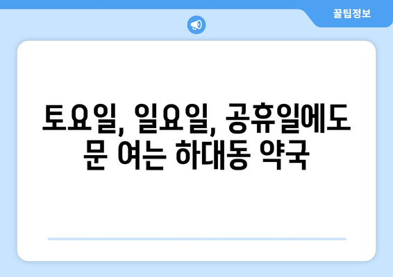 경상남도 진주시 하대동 24시간 토요일 일요일 휴일 공휴일 야간 약국