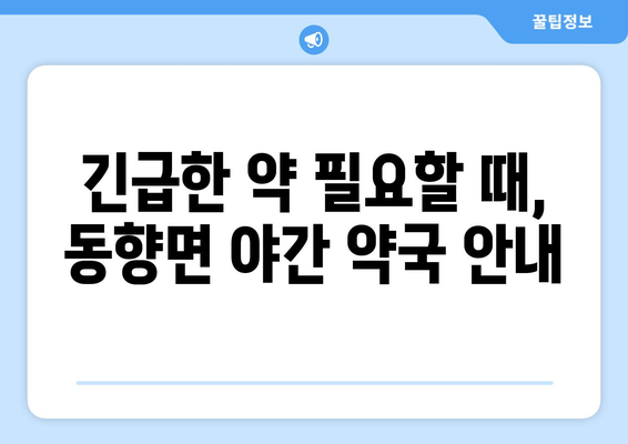 전라북도 진안군 동향면 24시간 토요일 일요일 휴일 공휴일 야간 약국