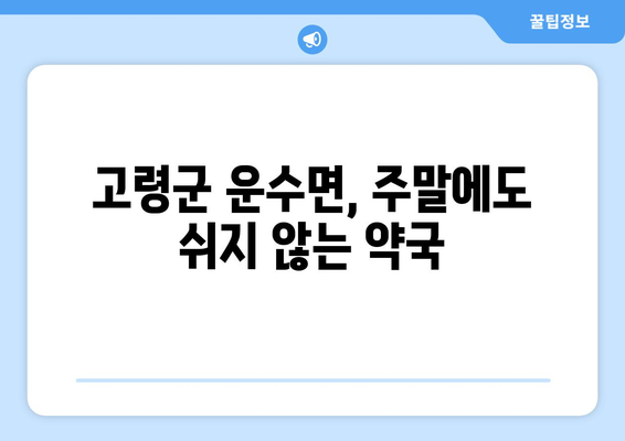 경상북도 고령군 운수면 24시간 토요일 일요일 휴일 공휴일 야간 약국