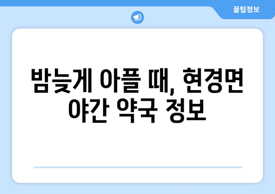 전라남도 무안군 현경면 24시간 토요일 일요일 휴일 공휴일 야간 약국