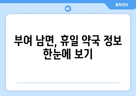 충청남도 부여군 남면 24시간 토요일 일요일 휴일 공휴일 야간 약국